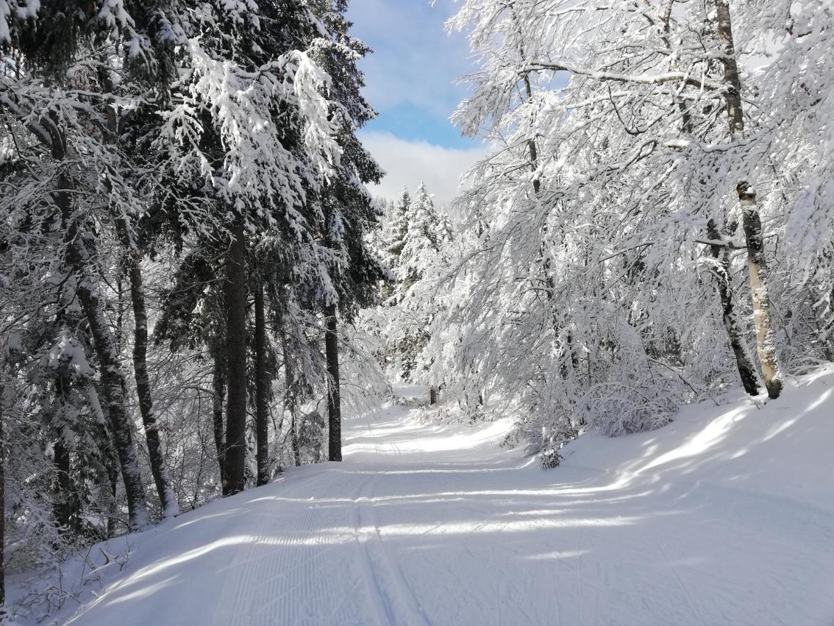 Ferme Des Deux Freres, Autrans, Vercors Екстериор снимка