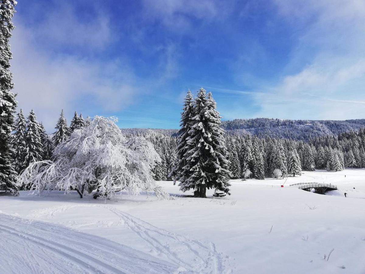Ferme Des Deux Freres, Autrans, Vercors Екстериор снимка