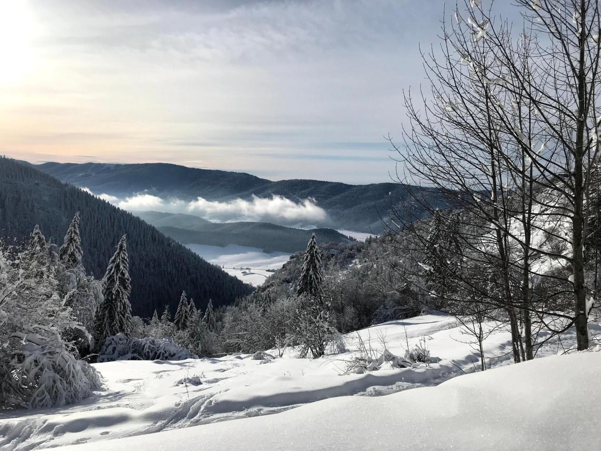 Ferme Des Deux Freres, Autrans, Vercors Екстериор снимка