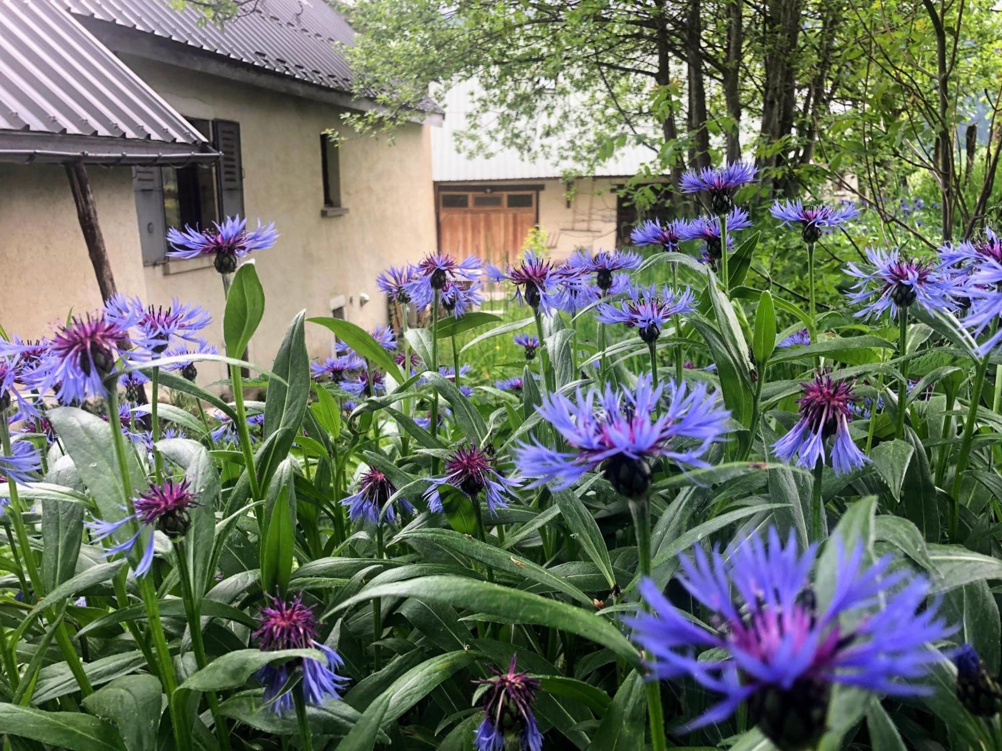 Ferme Des Deux Freres, Autrans, Vercors Екстериор снимка